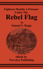 Under the Rebel Flag book cover