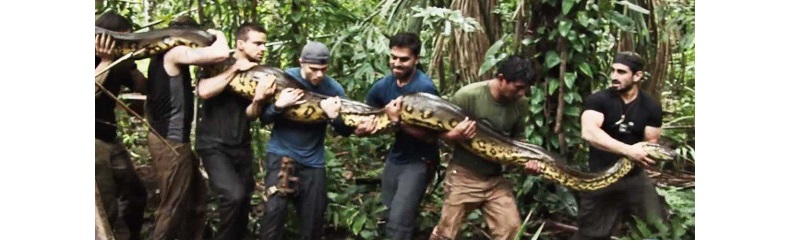 EatenAlive.jpg