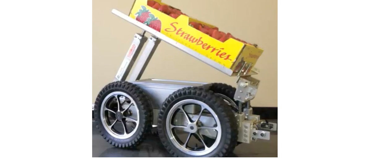 Frailbot.jpg