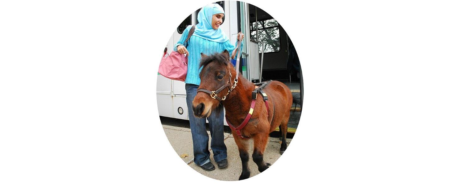 Guide horses are necessary because Muslims refuse to use dogs