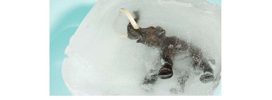 IcedMastodon.jpg