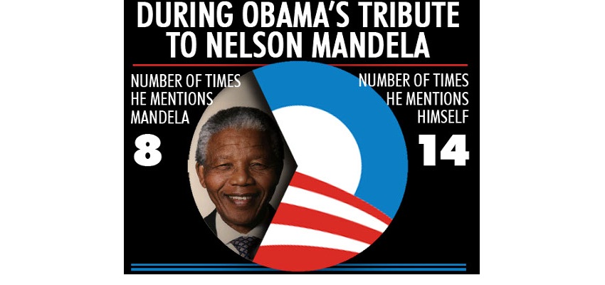 MandelaPieChart.jpg