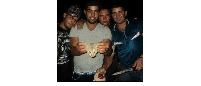 MuslimsDecapitateCat.jpg