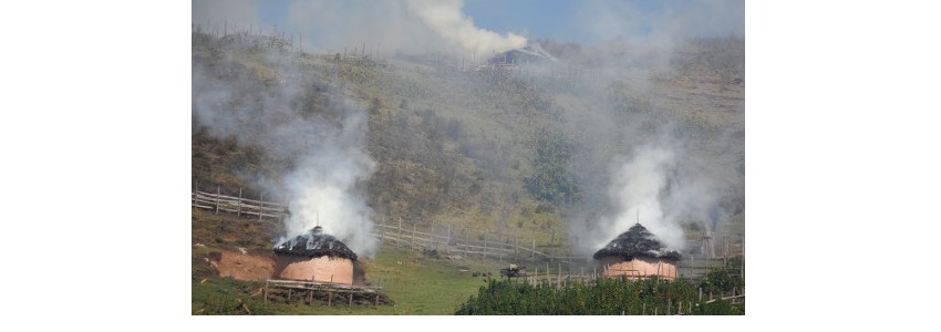 SengwerHomesBurning.jpg