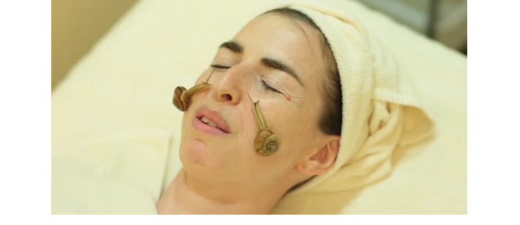 SnailFacial.jpg