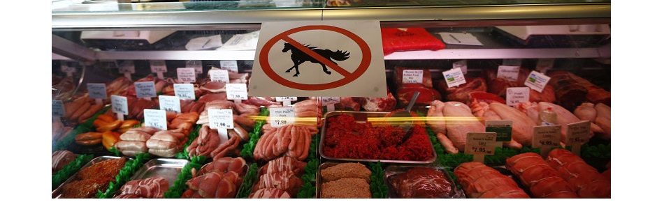 UKHorsemeatScandal.jpg