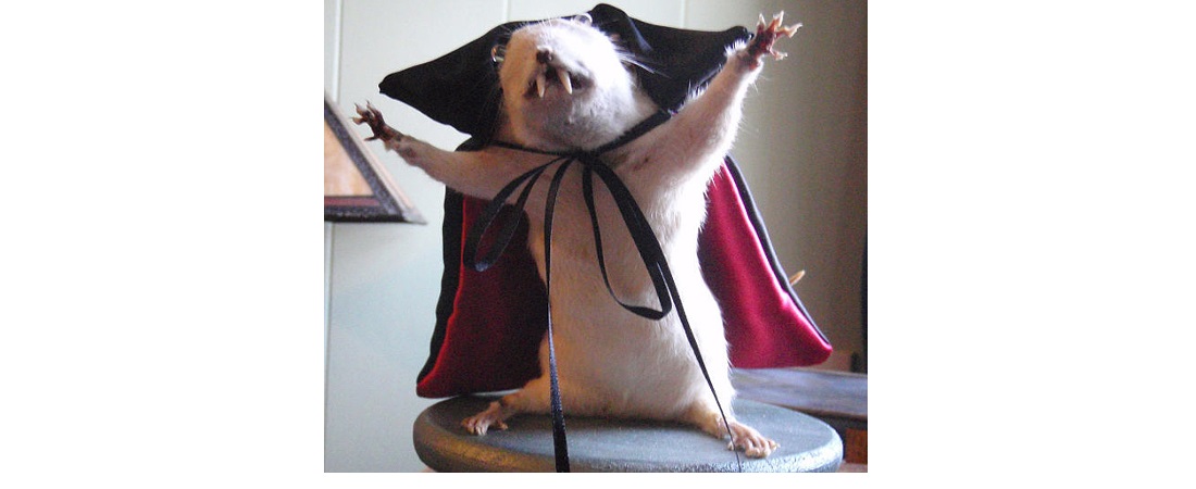VampireRat.jpg