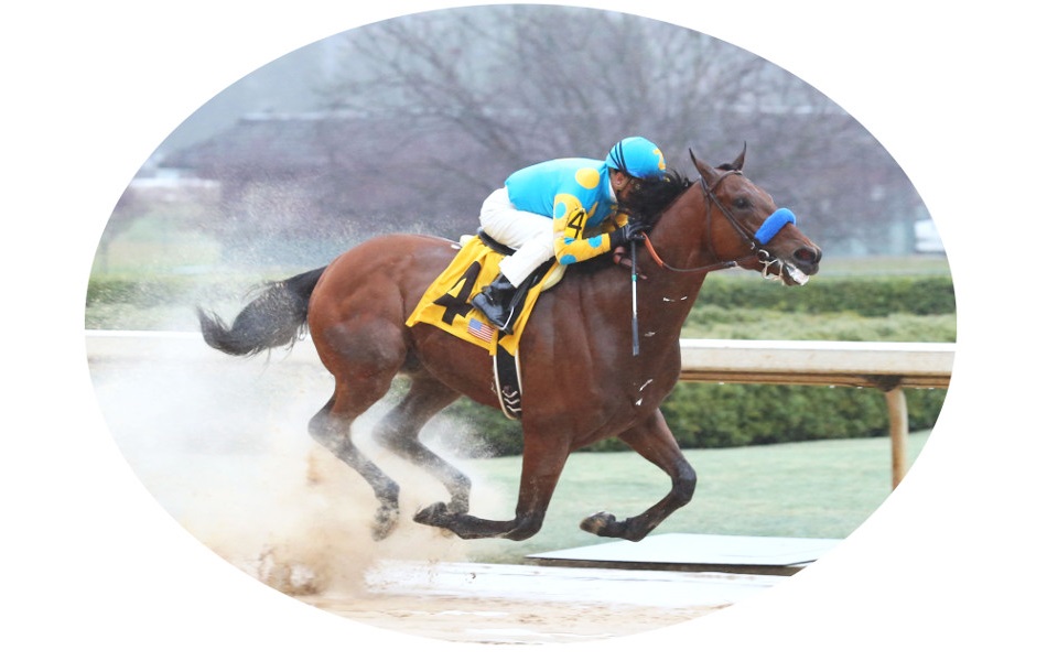 AmericanPharoah.jpg