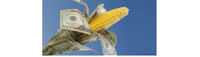 CornMoney.jpg