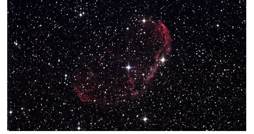 Cygnus.jpg