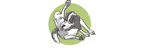 DogLickingAss.jpg