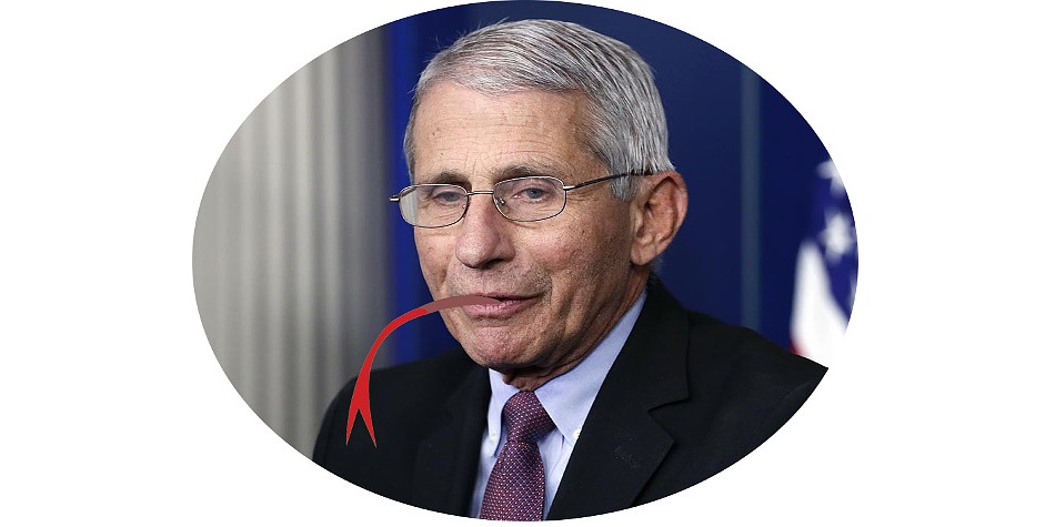 Fauci_liar.jpg