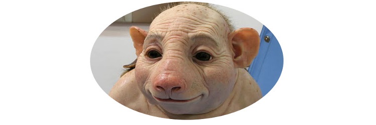 HumanPig.jpg