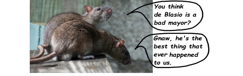 NYRats.jpg