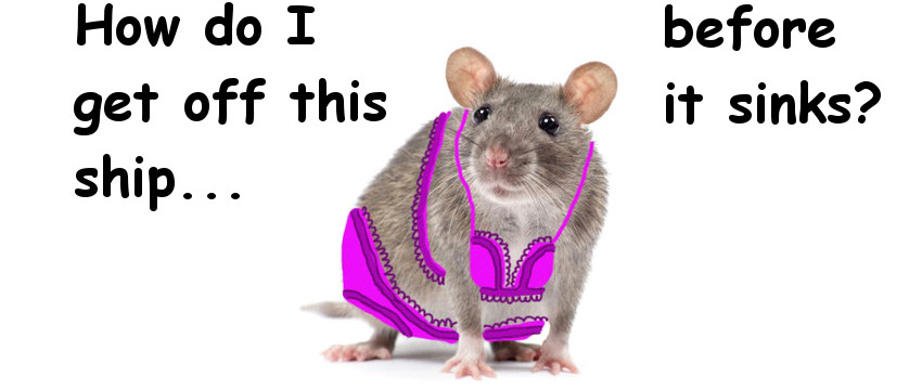 Rat_SF.jpg