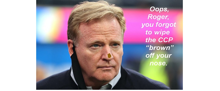 RogerGoodellBrownNose.jpg