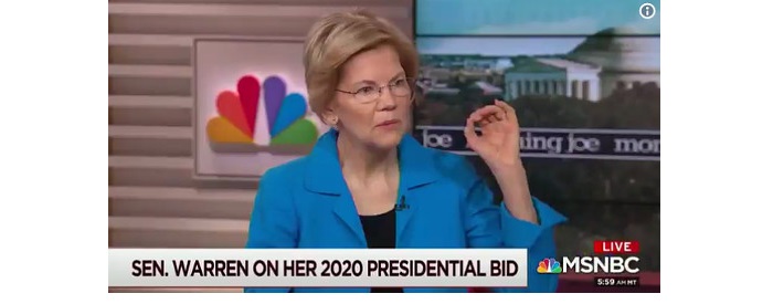 WarrenOnMSNBC.jpg