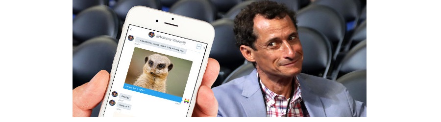 WeinerTheMongoose.jpg