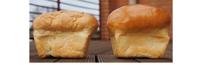 loaves.jpg